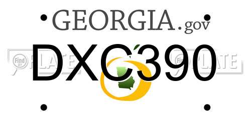 DXC390 Georgia License Plate