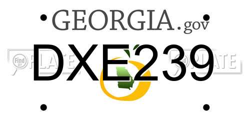 DXE239 Georgia License Plate