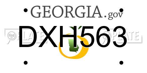 DXH563 Georgia License Plate