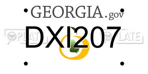 DXI207 Georgia License Plate