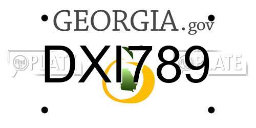 DXI789 Georgia License Plate