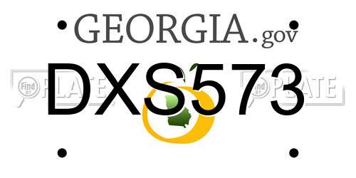 DXS573 Georgia License Plate