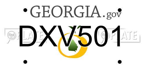 DXV501 Georgia License Plate
