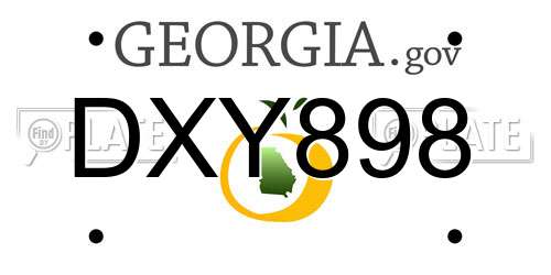 DXY898 Georgia License Plate