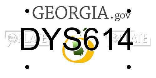 DYS614 Georgia License Plate