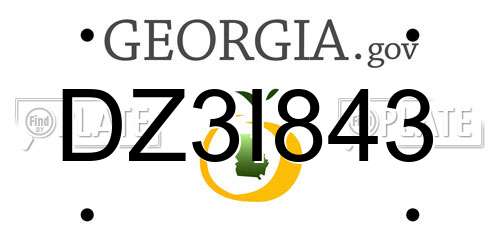 DZ3I843 Georgia License Plate