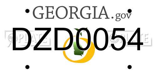 DZD0054 Georgia License Plate