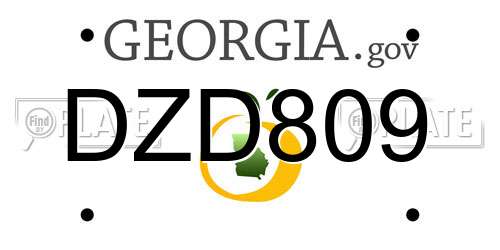 DZD809 Georgia License Plate