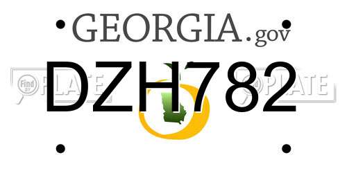 DZH782 Georgia License Plate