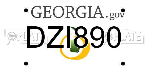 DZI890 Georgia License Plate