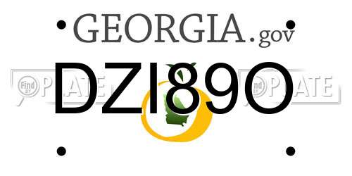 DZI89O Georgia License Plate