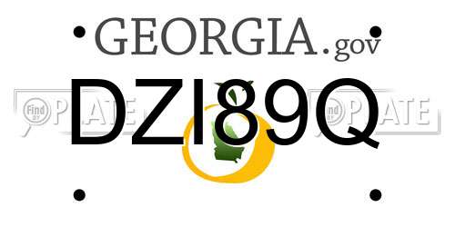 DZI89Q Georgia License Plate