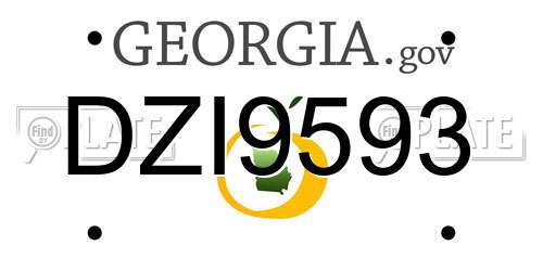 DZI9593 Georgia License Plate