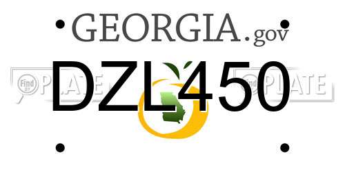 DZL450 Georgia License Plate