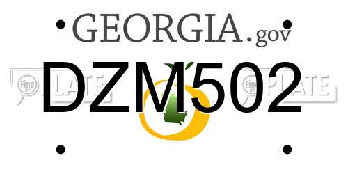 DZM502 Georgia License Plate