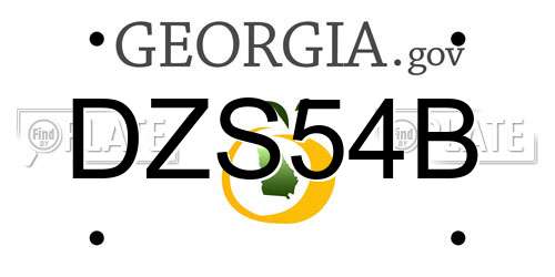 DZS54B Georgia License Plate
