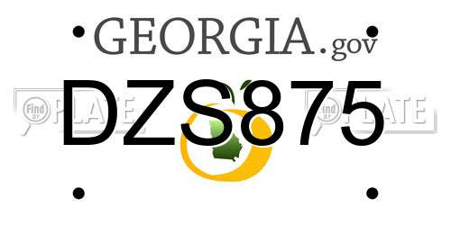 DZS875 Georgia License Plate