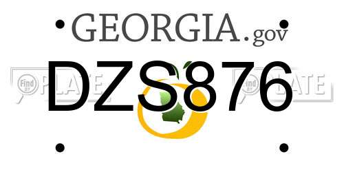 DZS876 Georgia License Plate