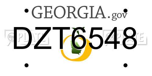 DZT6548 Georgia License Plate