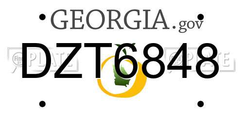 DZT6848 Georgia License Plate