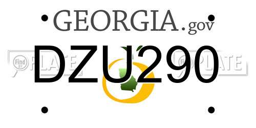 DZU290 Georgia License Plate