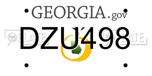DZU498 Georgia License Plate