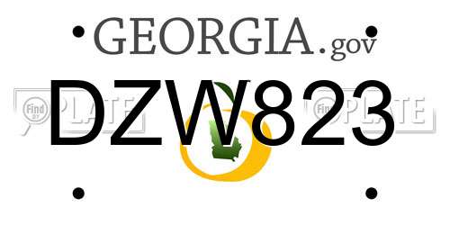 DZW823 Georgia License Plate