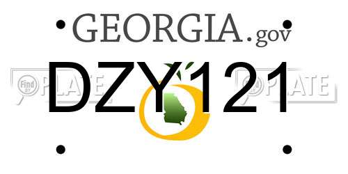 DZY121 Georgia License Plate