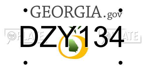 DZY134 Georgia License Plate