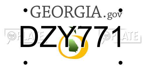 DZY771 Georgia License Plate