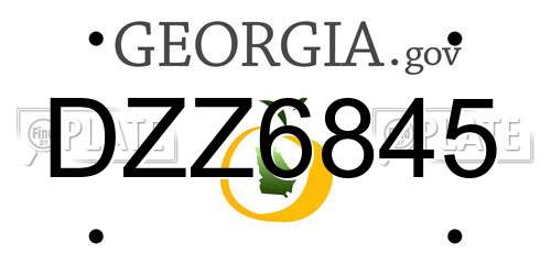DZZ6845 Georgia License Plate