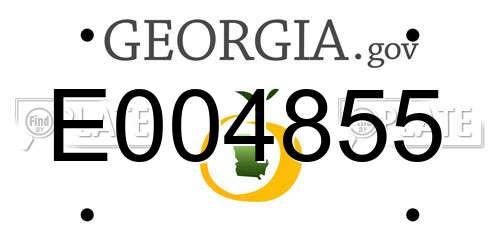 E004855 Georgia License Plate