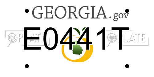 E0441T Georgia License Plate