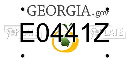 E0441Z Georgia License Plate