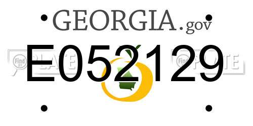 E052129 Georgia License Plate