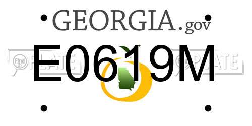 E0619M Georgia License Plate