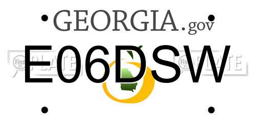 E06DSW Georgia License Plate