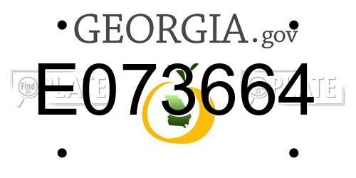 E073664 Georgia License Plate