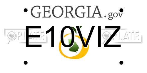 E10VIZ Georgia License Plate