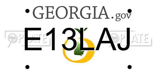 E13LAJ Georgia License Plate
