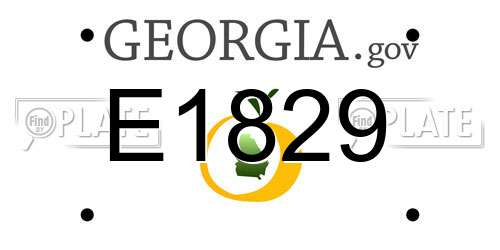 E1829 Georgia License Plate