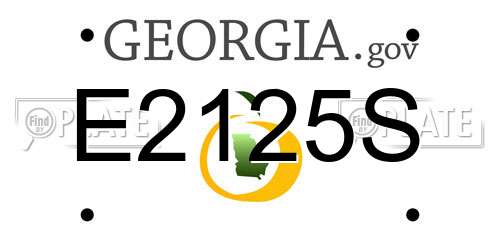 E2125S Georgia License Plate