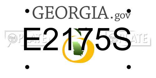 E2175S Georgia License Plate