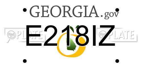 E218IZ Georgia License Plate