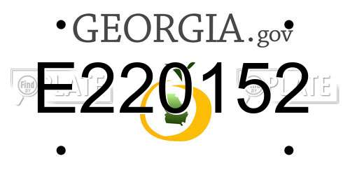 E220152 Georgia License Plate