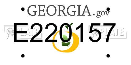 E220157 Georgia License Plate