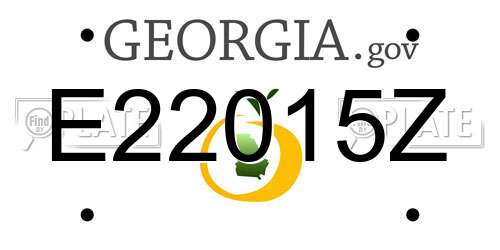 E22015Z Georgia License Plate