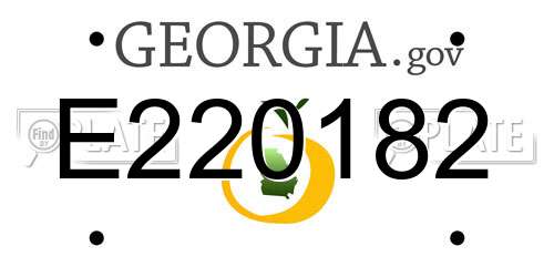 E220182 Georgia License Plate
