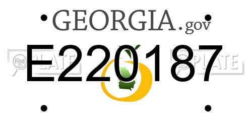 E220187 Georgia License Plate