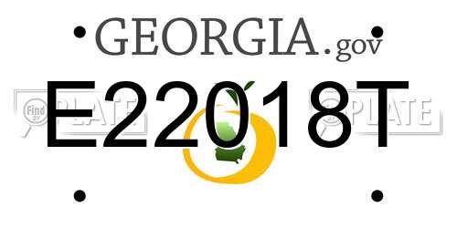 E22018T Georgia License Plate